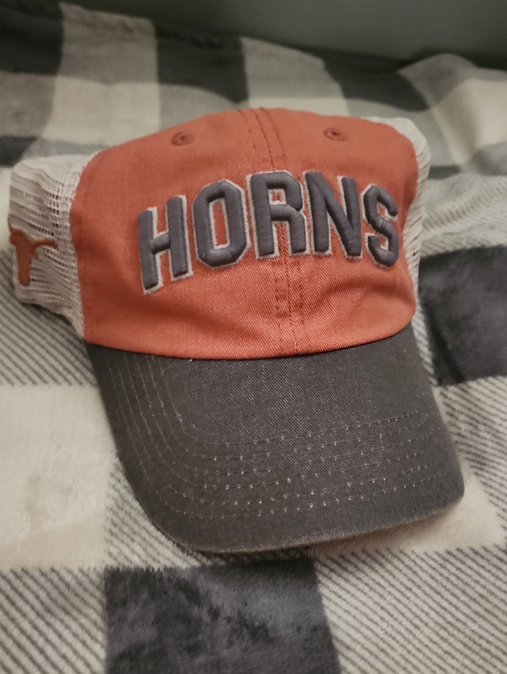 Texas Horns Hat..like New